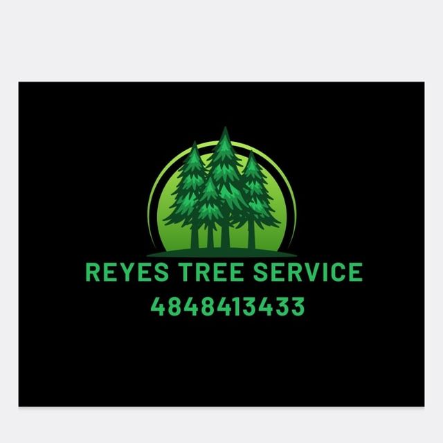 Reyes tree Service