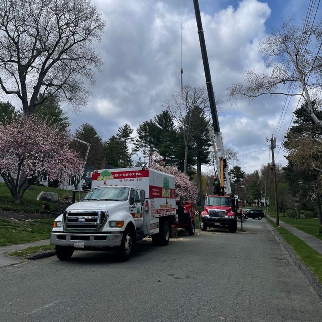 RGS Tree Service