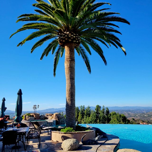 Rising Oak Tree Service & Landscaping