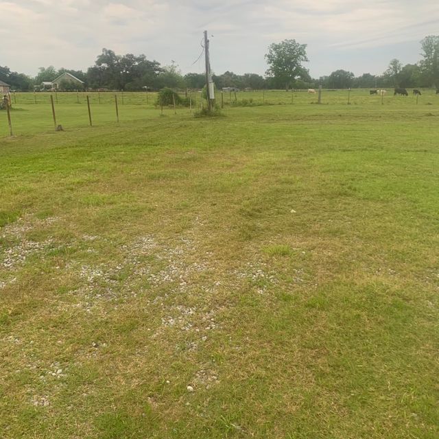 Rogers lawn care