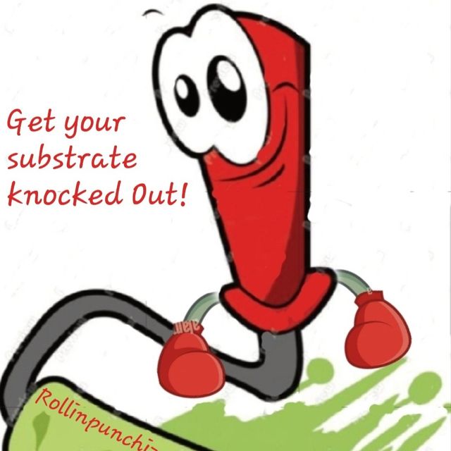 Rollinpunchizpaintingllc