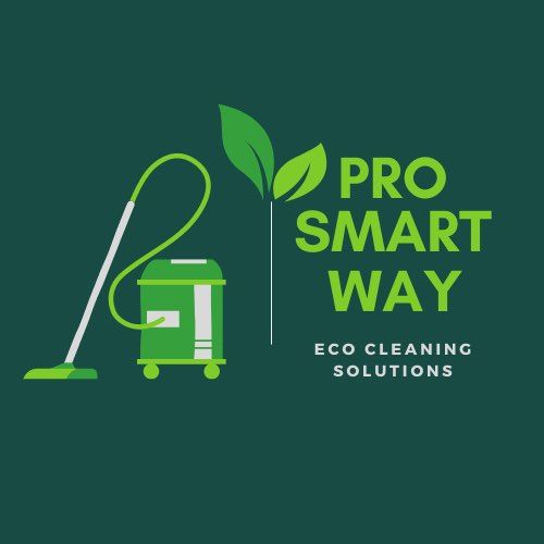 Roman Ecocleaning