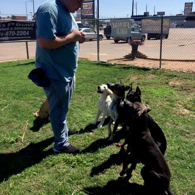 Ruff Tales