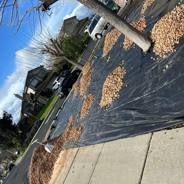 A.RUIZ landscape/Maintenance