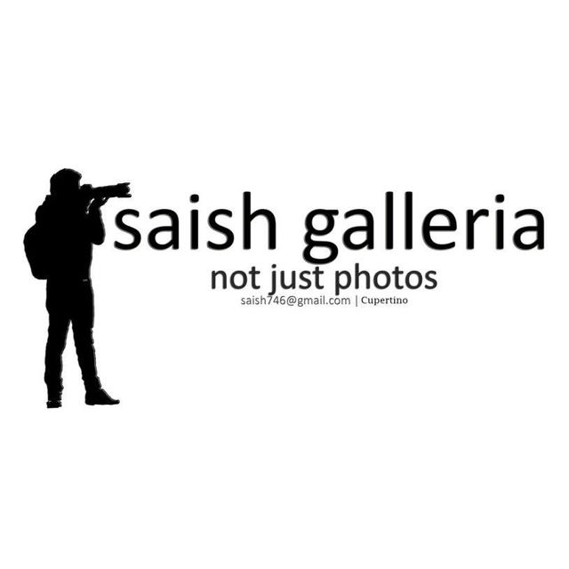 SaishGalleria