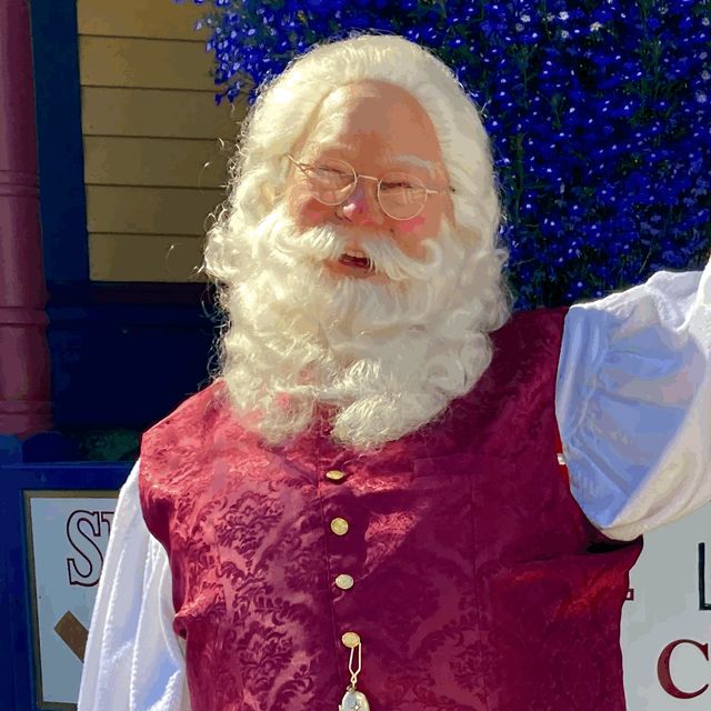 Santa David