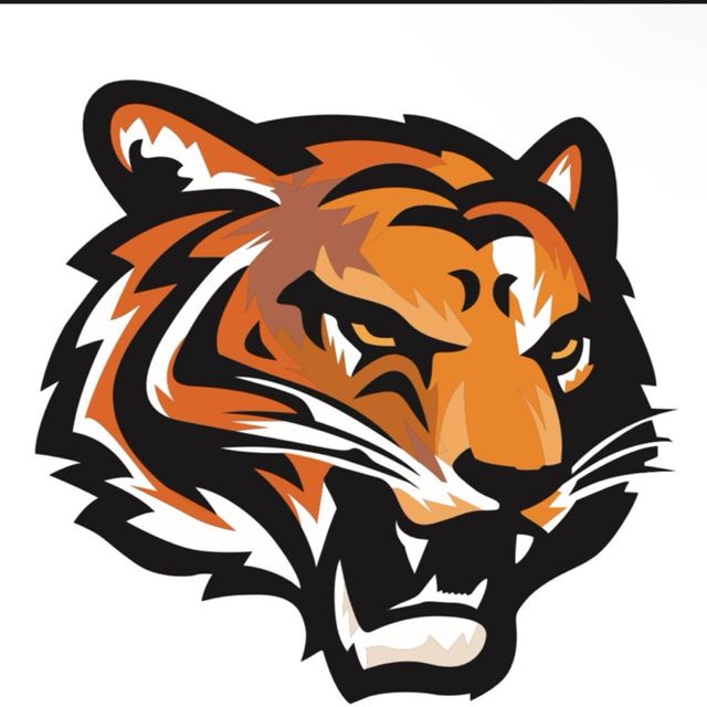 SANTOS TIGGER CONSTRUCTION  INC