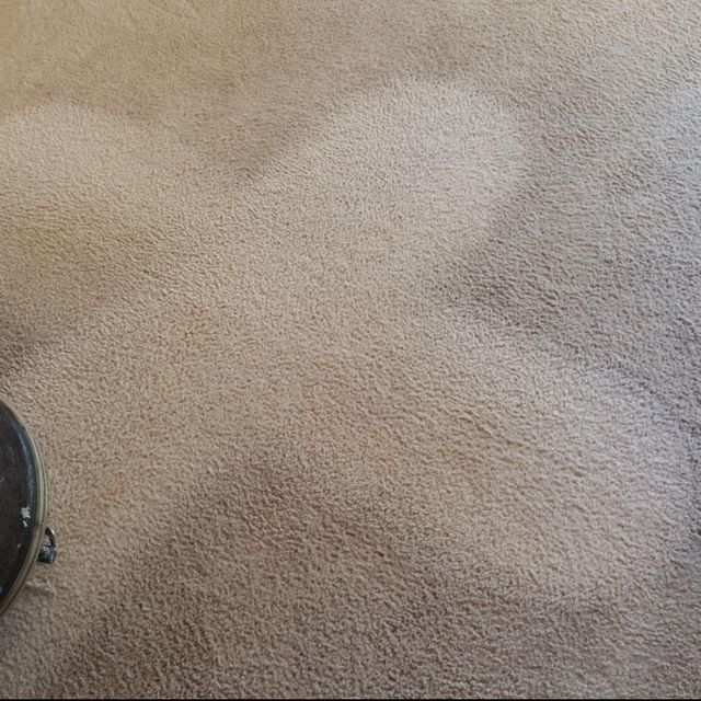 scotts steam cleaning