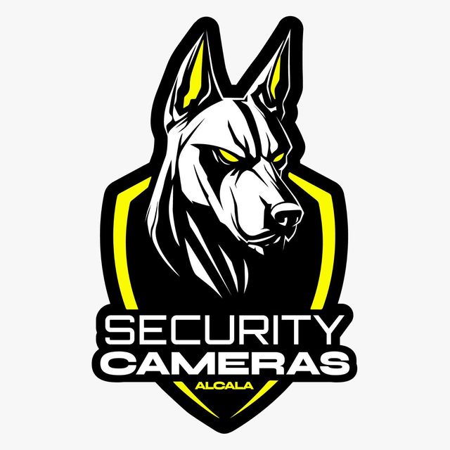 Security Cameras Alcala LLC