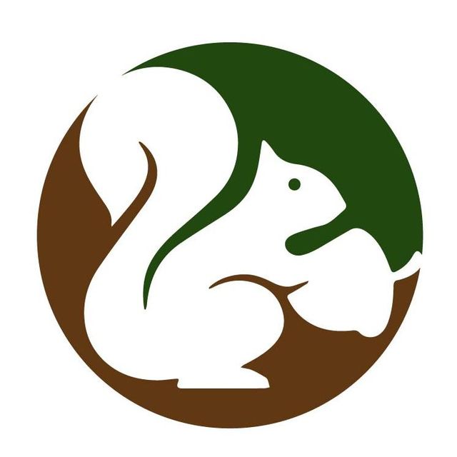 Shadow Tail Wildlife