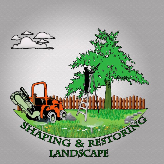 SHAPING & RESTORING LANDSCAPE