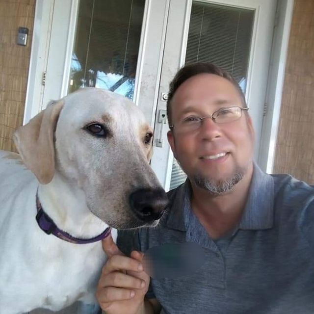 Silver Dog Training LLC(A.B.C.D.T. Certified)