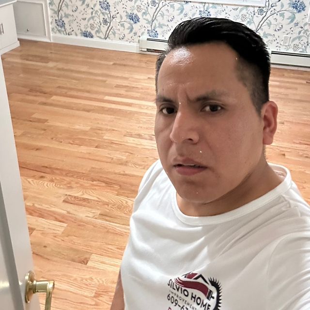 SILVIO HOME PRO- PAINTER