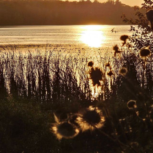 Simply Special Images