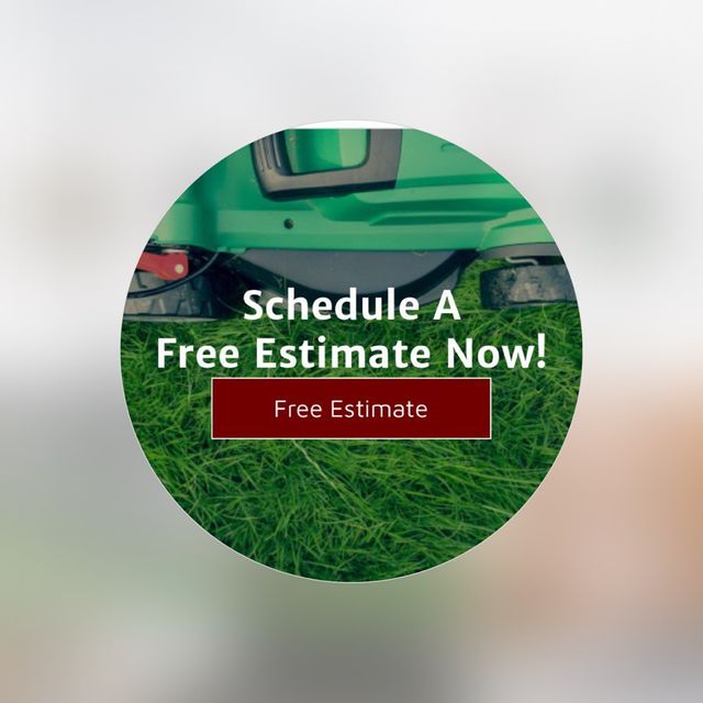 Solomon Home Improvement