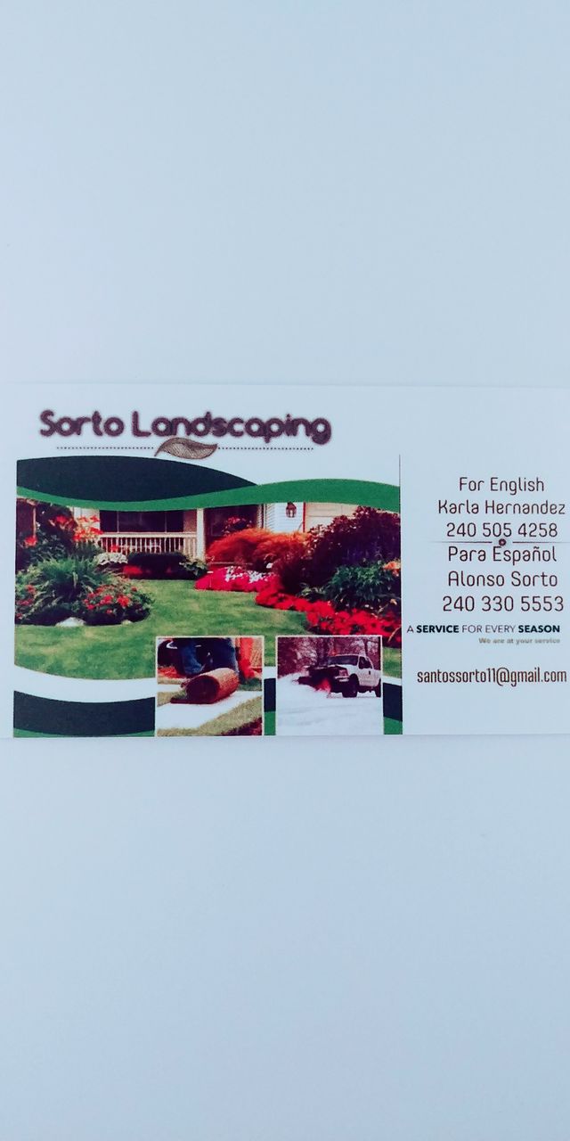 Sorto landscaping