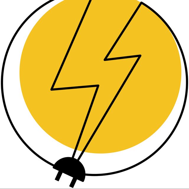 SparkWise (aka Max) Electric