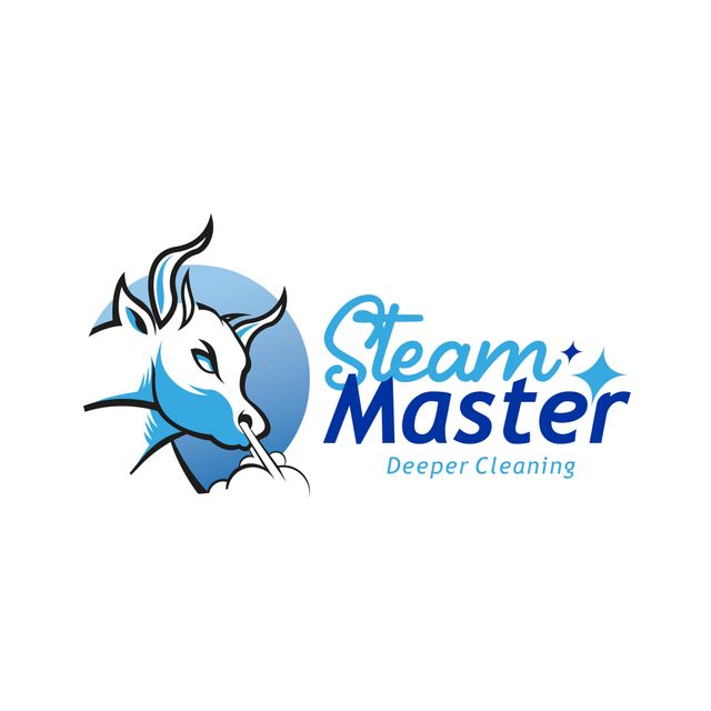 Steam Master Deeper Cleaning