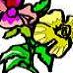 Sue's Custom Gardens (C27-899727)