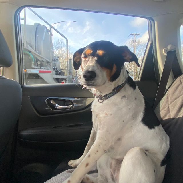 Sunny Sit