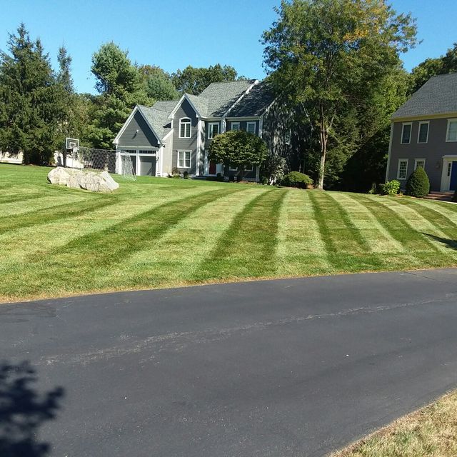 Synergy Landscaping