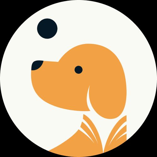 Tail Tales Academy