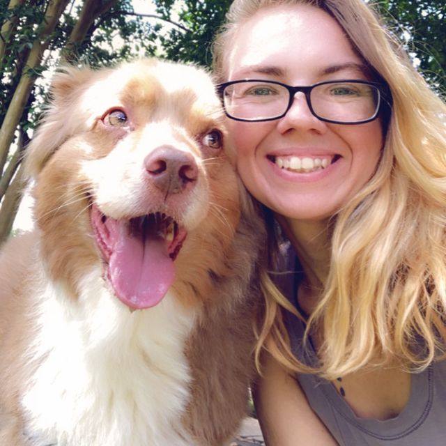 Take Meowt: Dog walking & Pet sitting