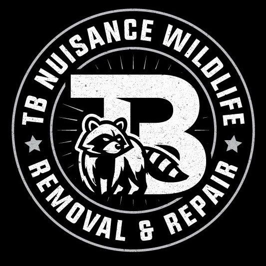 TB nuisance wildlife removal and repair