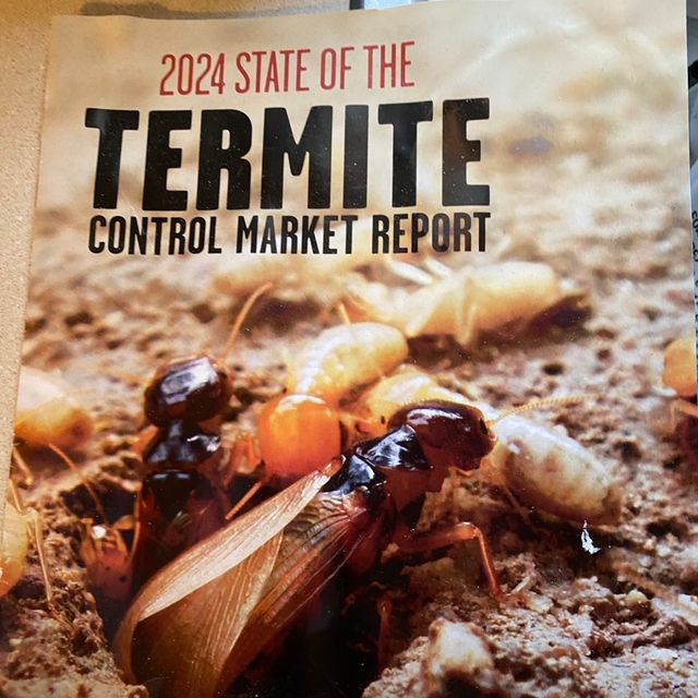 Termite Inspections  Termite Control Pest Control