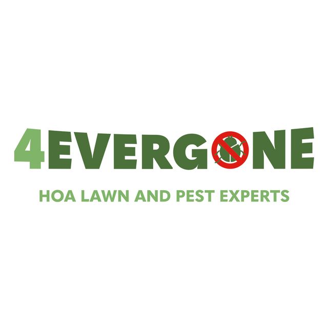4-Evergone