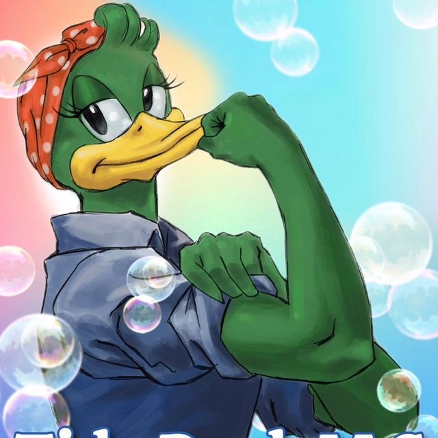 Tidy Duck LLC