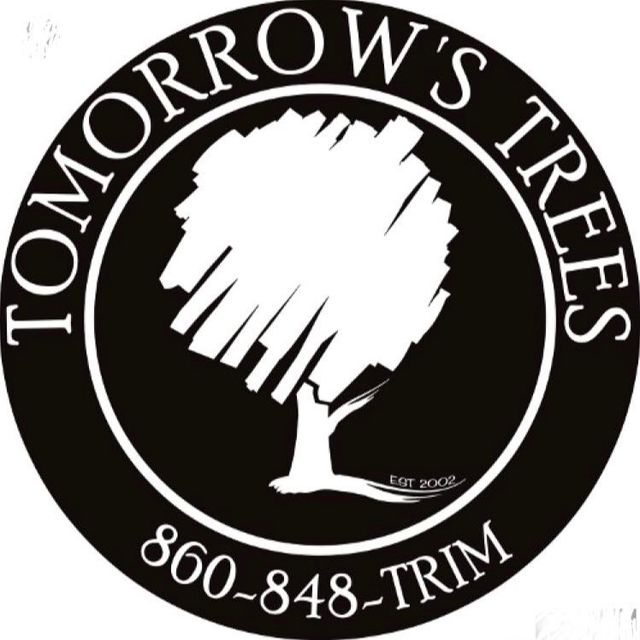 Tomorrow's Trees