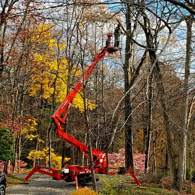 Tree Fellers, Inc.