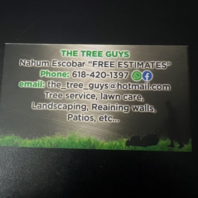 The tree guys
