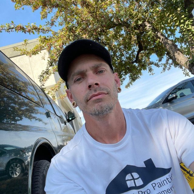 True Color Pro Painting