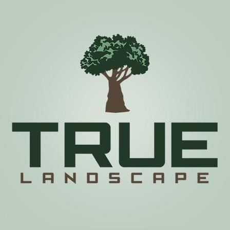 True Landscape
