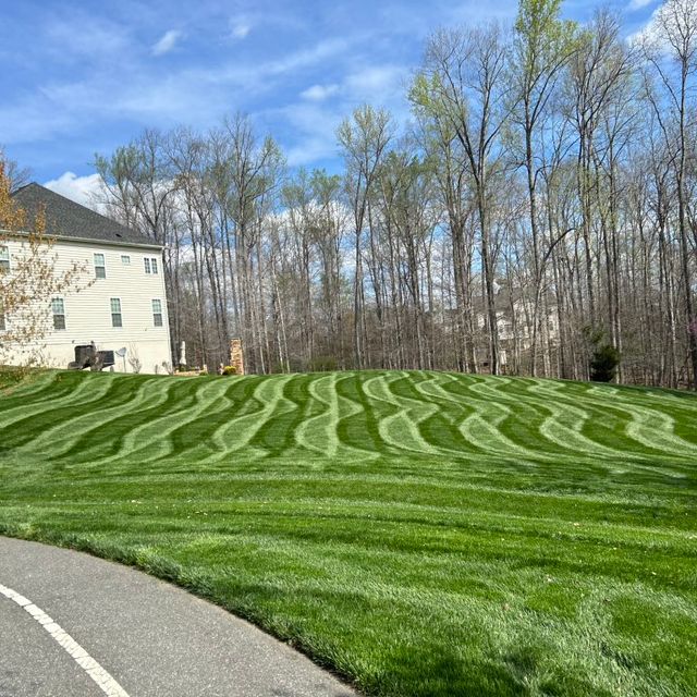 Twins landscaping