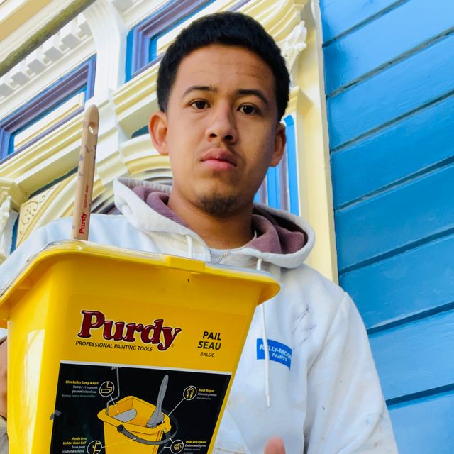 V pro painter