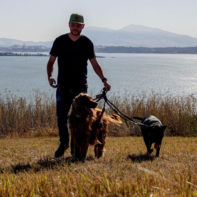 Vallejo Pet Services