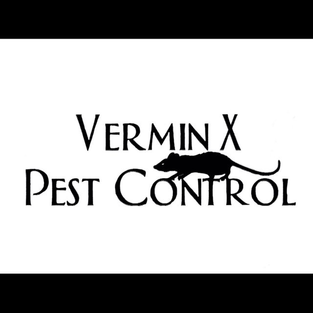 Vermin X Pest Control