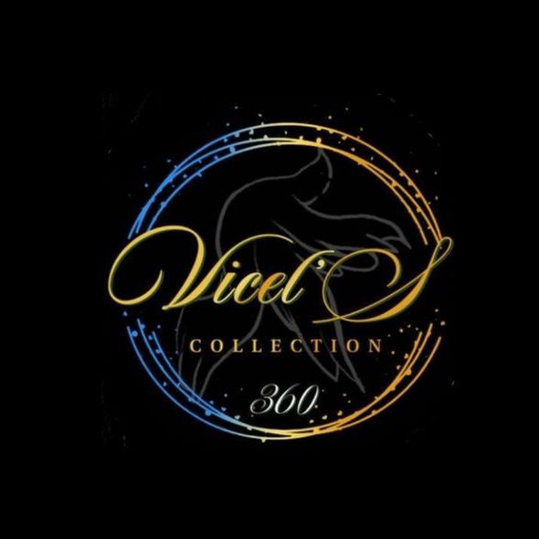 Vicelscollection360