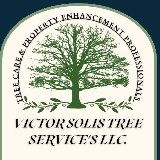 Victor Solis Tree and home improvements.