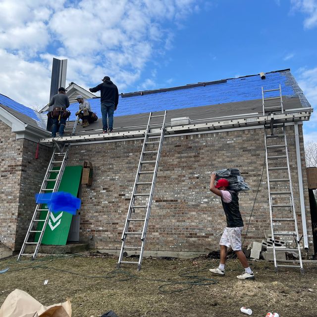 Viking home pros