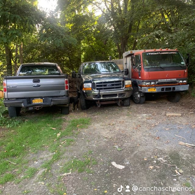 Vincent Landscaping and Power Wash Service