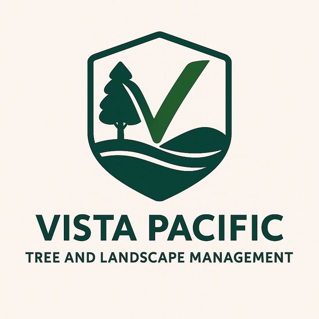 Vista pacific llc