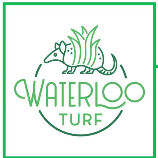 Waterloo Turf Houston