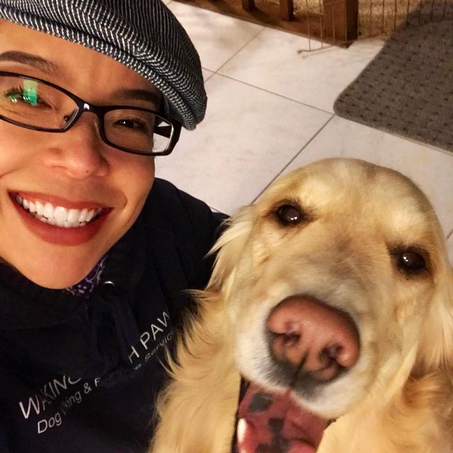 Where Dogs Thrive Puppy and Dog Training