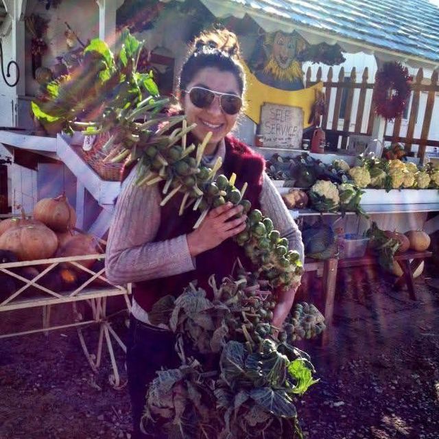 WildFeast NY