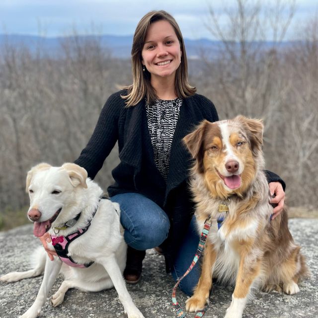 WNC Pet Care LLC