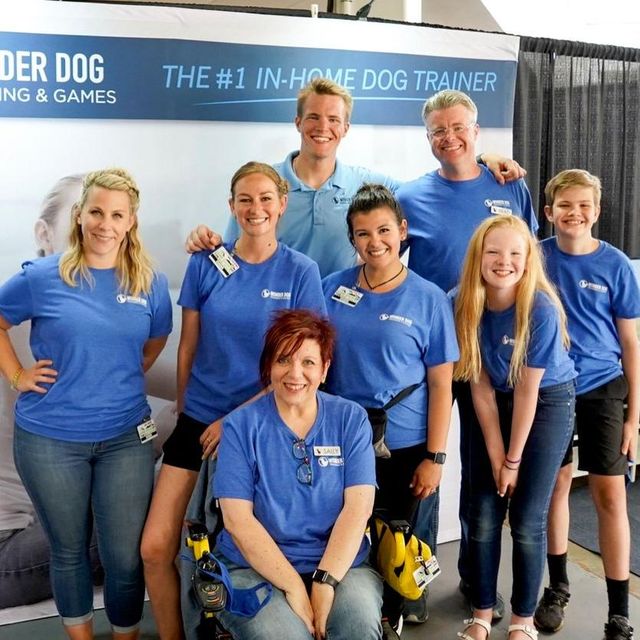 Wonder Dog Training Memphis